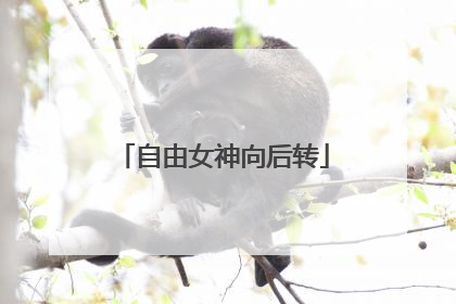 自由女神向后转